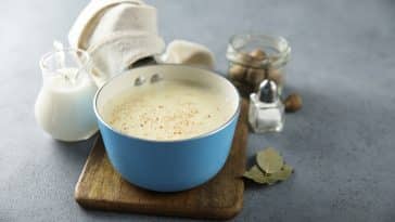 sauce béchamel vegan végétale recette de cuisine