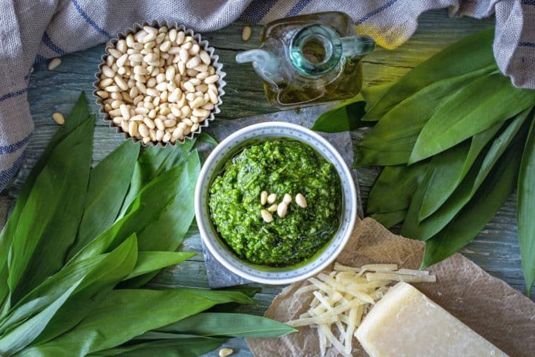 pesto ail des ours maison recette cuisine végétarienne feuilles sauvage pignons pin fromage huile