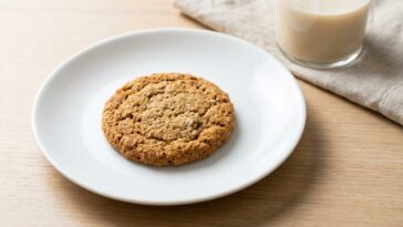 J'ai passé au four la pulpe filtrée de mon lait d'avoine juste pour voir : mes invités m'ont demandé la recette de ces bis...
