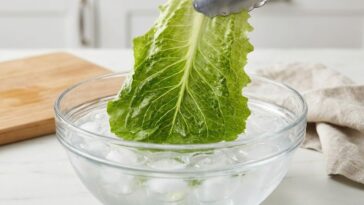 « Je jetais toujours ma salade flétrie à la poubelle » : personne ne m'avait dit ce que 15 minutes dans l'eau glacée faisa...