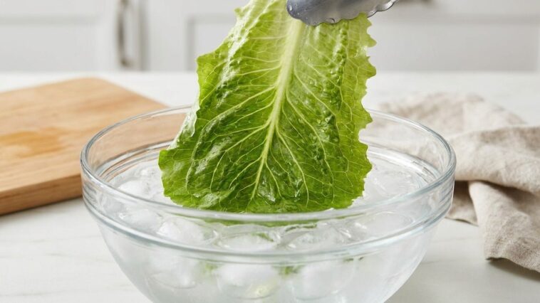 « Je jetais toujours ma salade flétrie à la poubelle » : personne ne m'avait dit ce que 15 minutes dans l'eau glacée faisa...