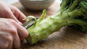 Ma grand-mère ne jetait jamais les tiges de ses brocolis et pourtant personne ne les remarquait dans l'assiette : ce qu'el...