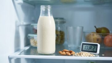 Combien de temps se conserve le lait végétal maison : la durée précise au frigo
