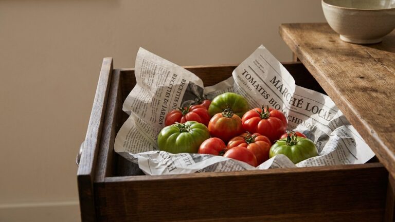 Les primeurs le répètent chaque septembre : ces tomates qui ne mûrissent plus sur pied finissent dans un tiroir fermé, sur...
