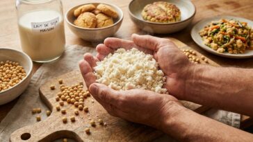 Okara recette : comment cuisiner ce résidu de lait de soja sans le jeter